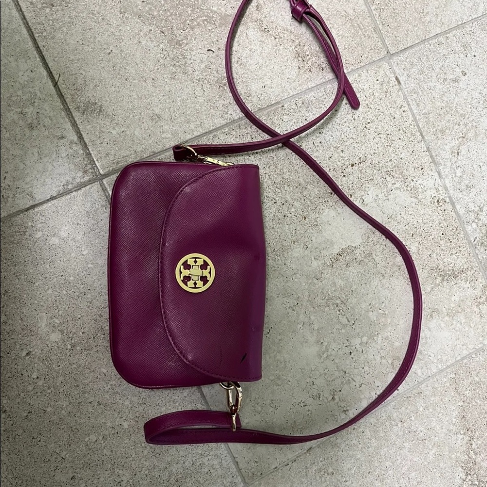 Tory Burch mini Robinson crossbody